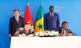 Việt Nam-Senegal: Ký kết Bản ghi nhớ về thương mại gạo